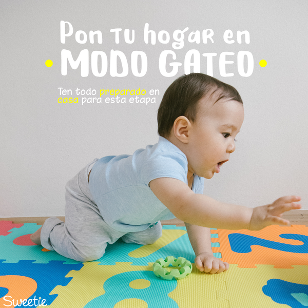 Pon tu hogar en modo gateo: Ten todo preparado en casa para esta etapa